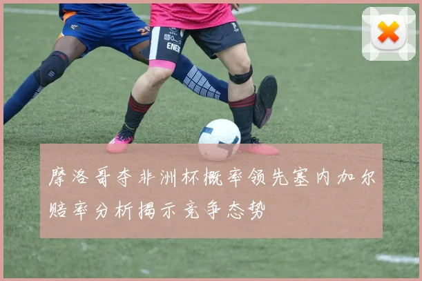 摩洛哥夺非洲杯概率领先塞内加尔赔率分析揭示竞争态势